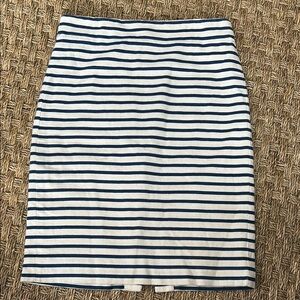 Striped Navy and White Women's Skirt